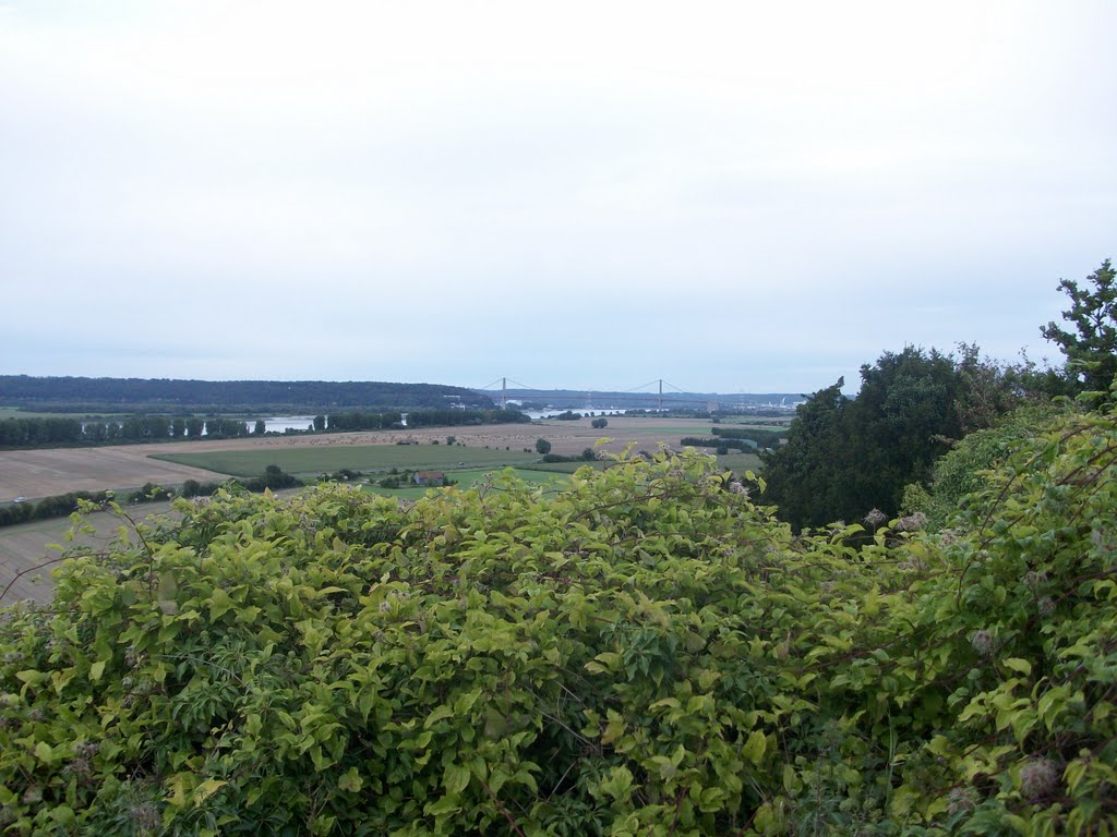 Pont de Tancarville vu depuis le phare du Roque by Meemeec