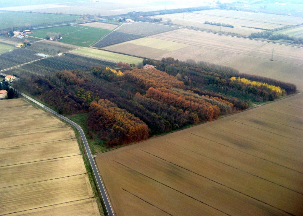 Colori d'autunno nei dintorni di Boschi by Claudio Pedrazzi