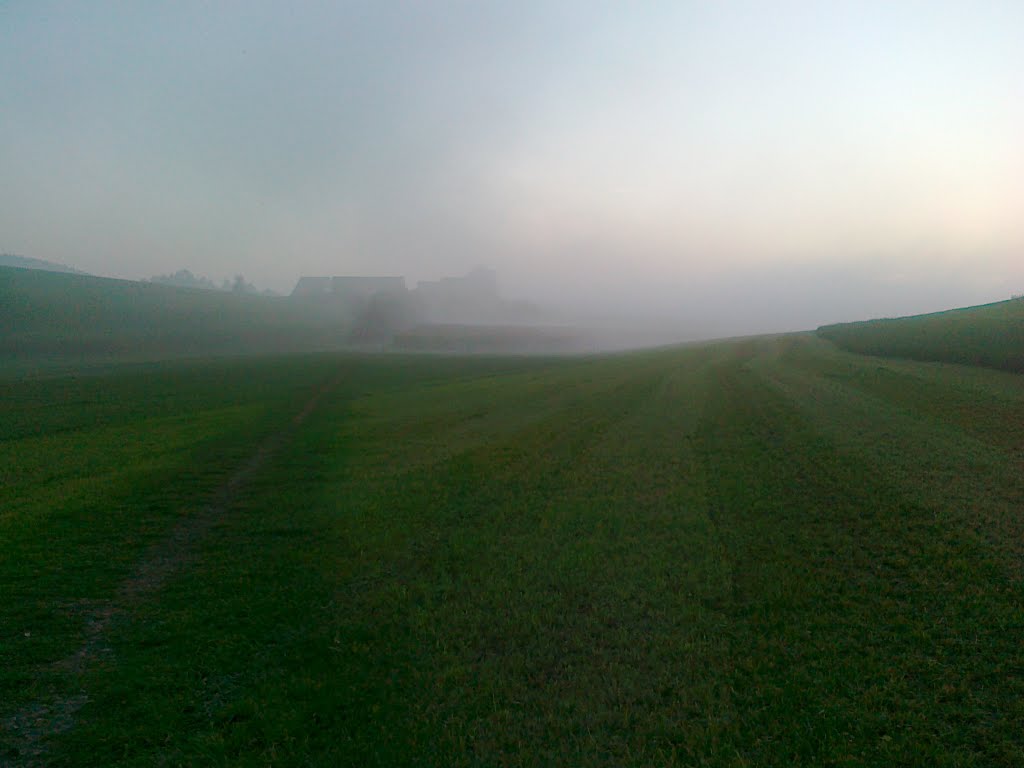 Wittenbach Hofen, Sonenuntergang im Nebel by dimitris_tsi