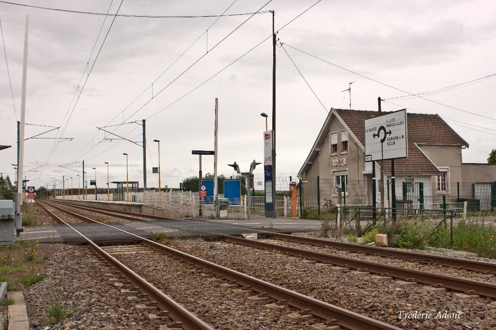 LA GARE DE SALOME by Frédéric Adant