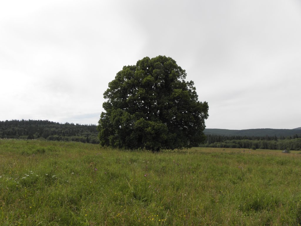 Bieszczady by mn3006