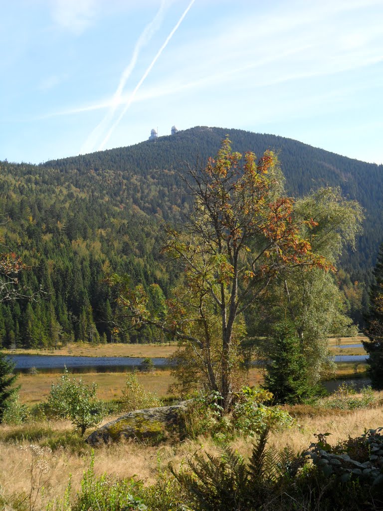 Blick auf den Großer Arber vom Kleinen Arbersee by danfue