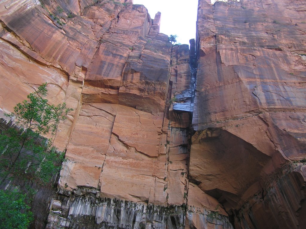 Emerald Pool Trail, Zion NP by Peter & Shelly