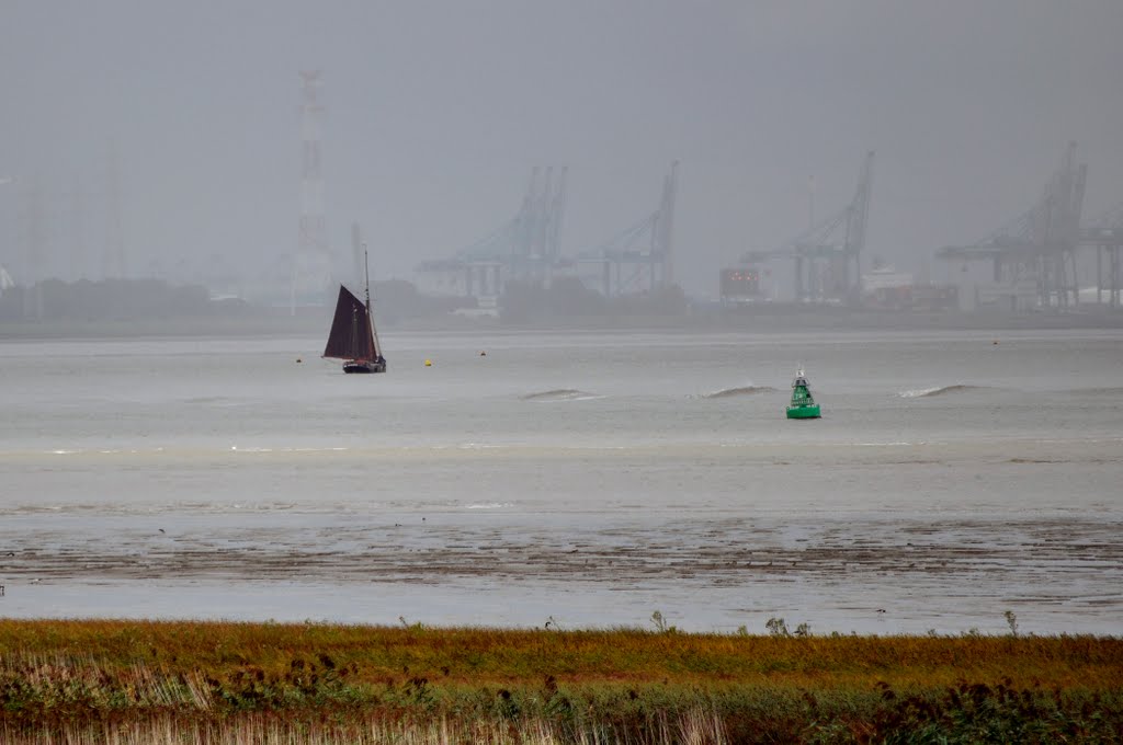 Dark sails on the Westerschelde near Rilland, Netherlands by © Andre Speek