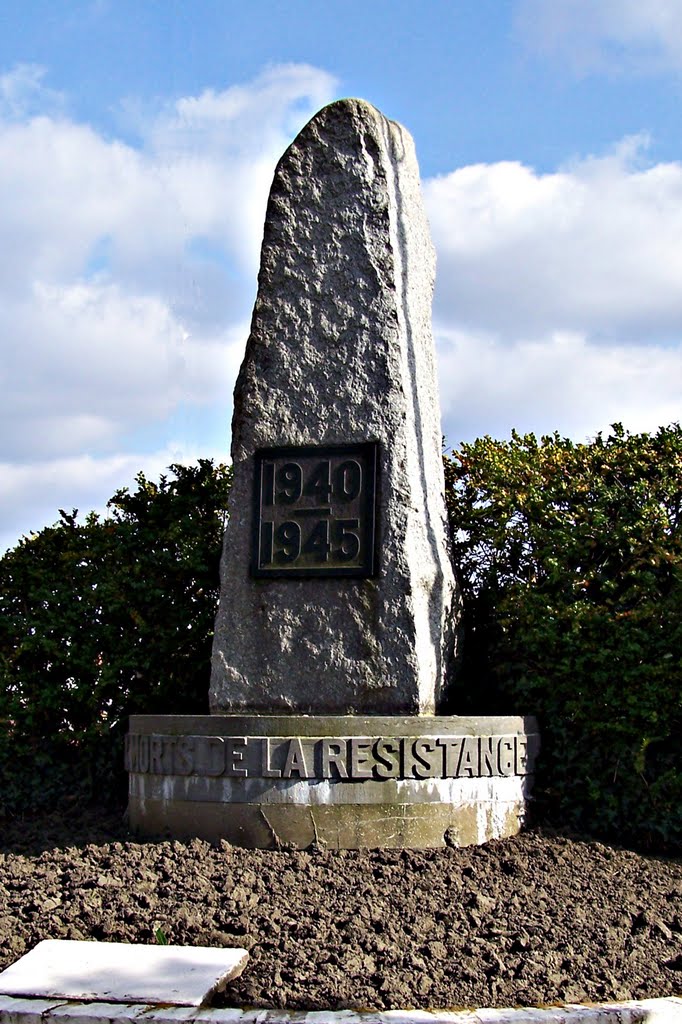 HENIN-BEAUMONT - Monument aux Morts de la résistance by 59jacky