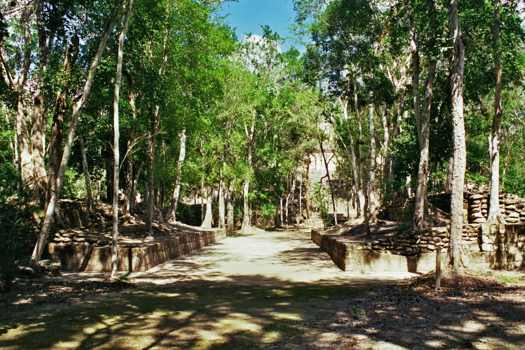 Calakmul Ball Court by stephanie parker