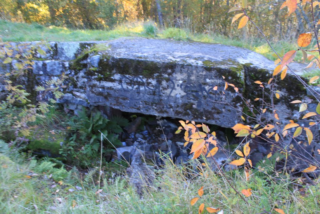 Ensimmäisen maailmansodan aikainen puolustusasema, suojatila by Jorma Hokkanen