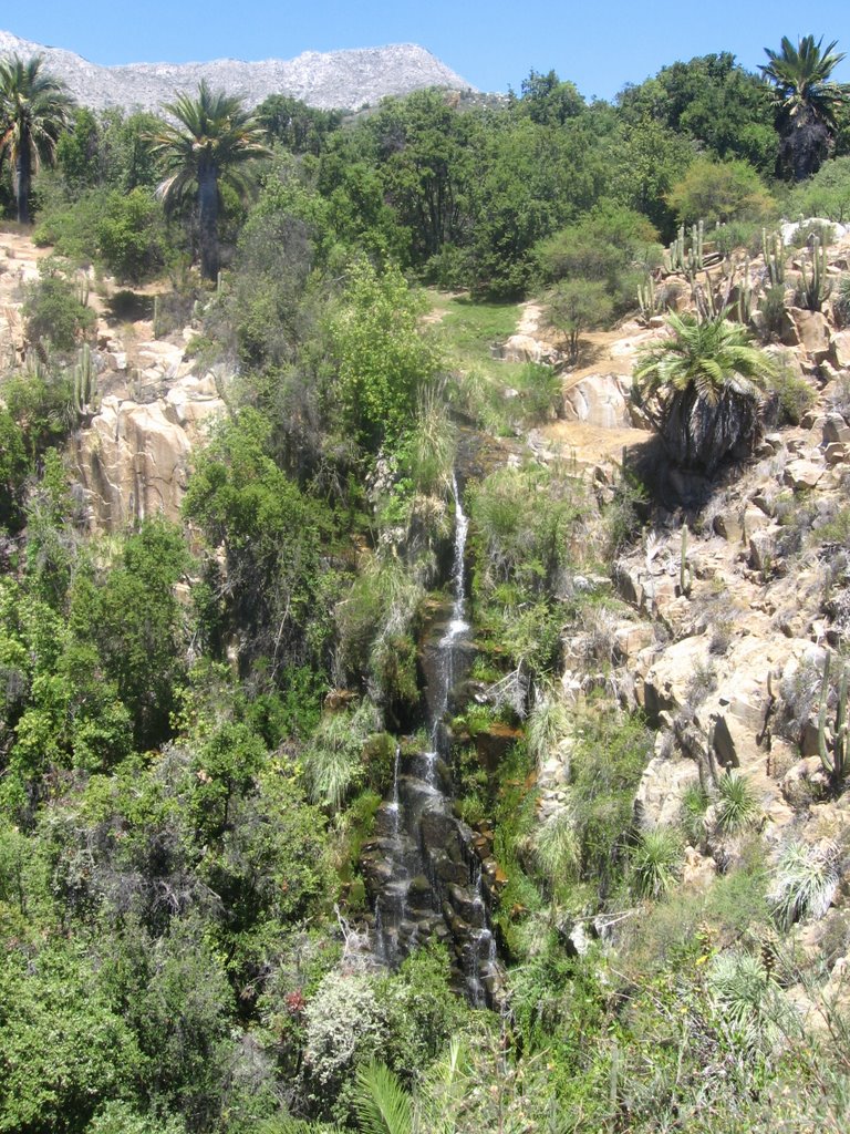 Salto La Cascada, Parque Nacional La Campana (V regiòn- Chile) by Victoria Osorio