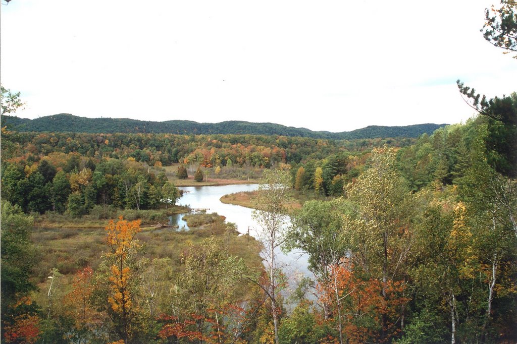 Manistee River from Manistee River Trail by Tartan1749