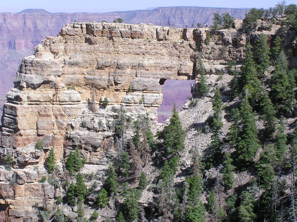 Angels Window, Grand Canyon, North Rim by Peter & Shelly