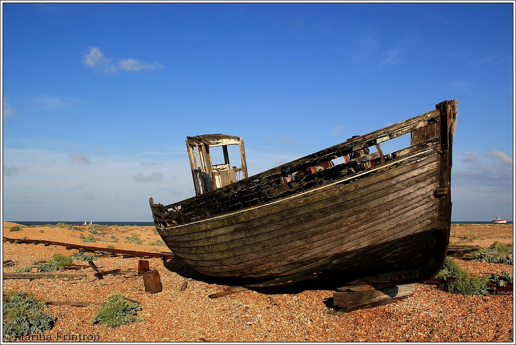 Am Strand von Dungeness, Kent - England by Marina Frintrop