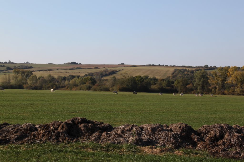 Panoramazicht, Focant by Roger Geijsels