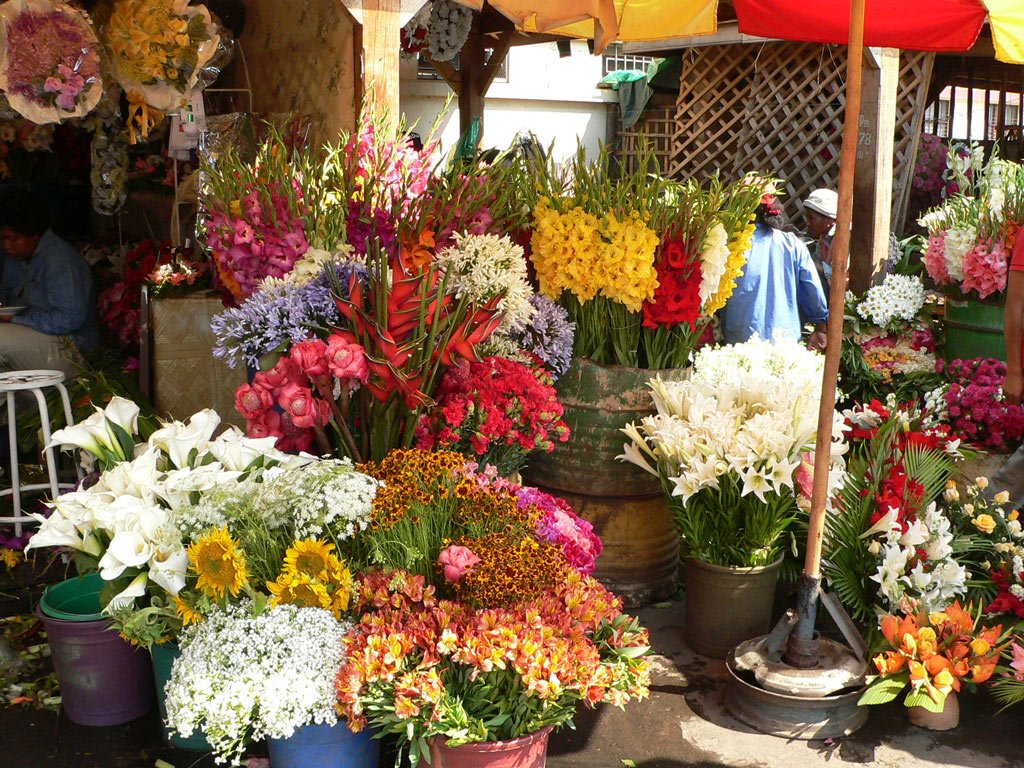 Marché aux fleurs by Michel André