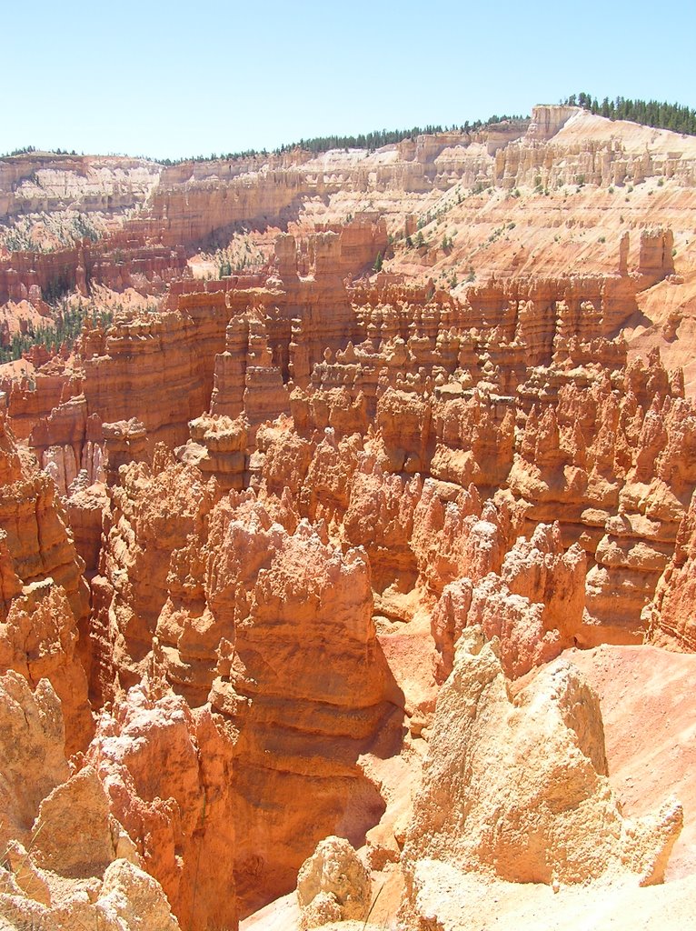 Bryce Canyon, Utah by Peter & Shelly