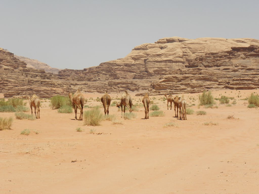 Aqaba Qasabah District, Jordan by r.janssen