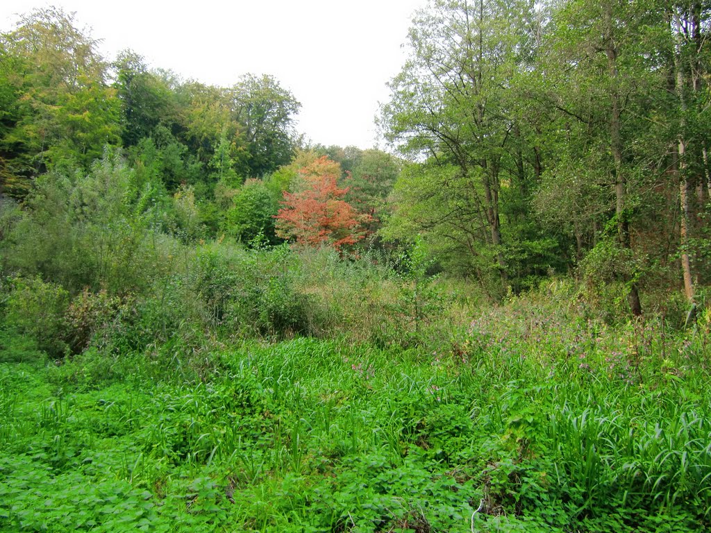 Im Kupfermühlental by Dr. Friedemann Roeßler