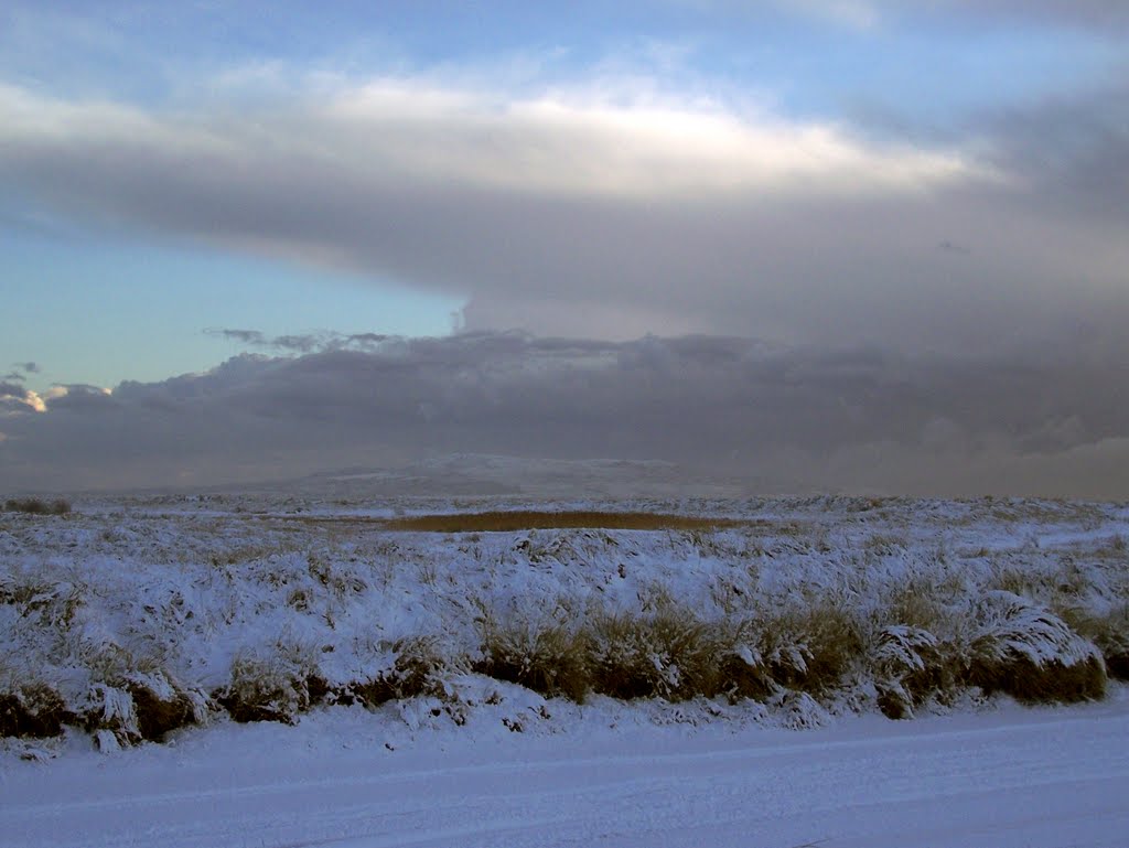 On Bull Island on a freezing winter day by Diana Thurmann