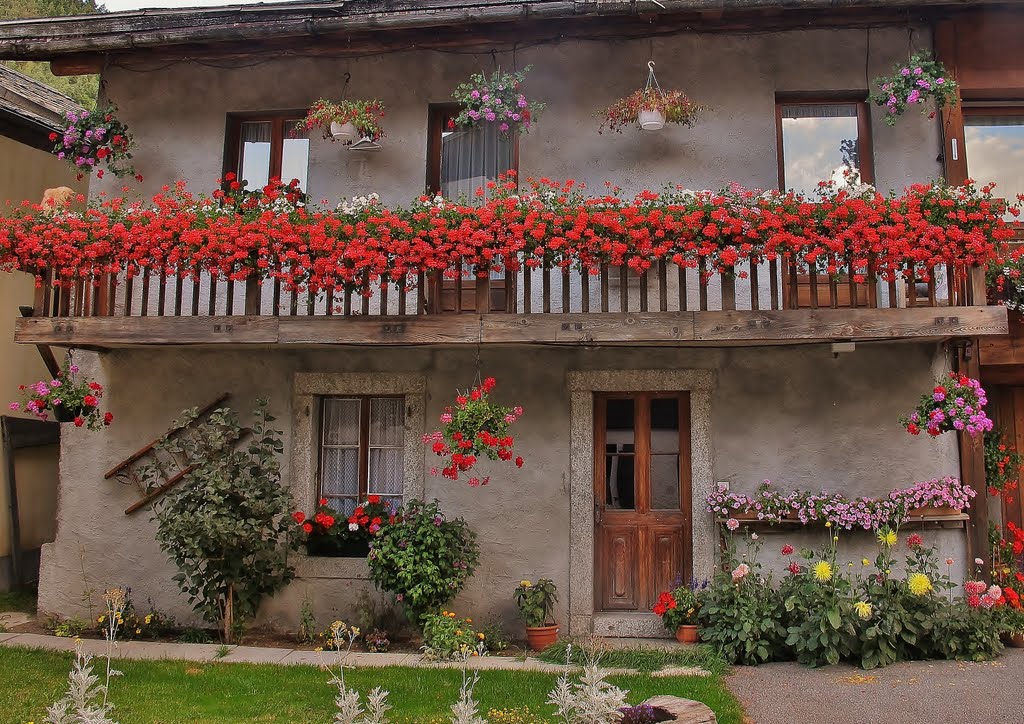 Les fleurs rue du Rocher Nay by zambetti salvatore