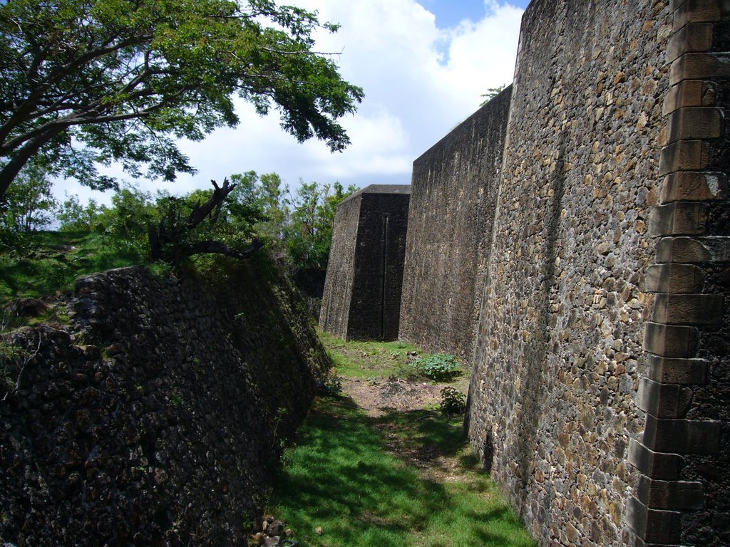 Fort Napoléon by dwg