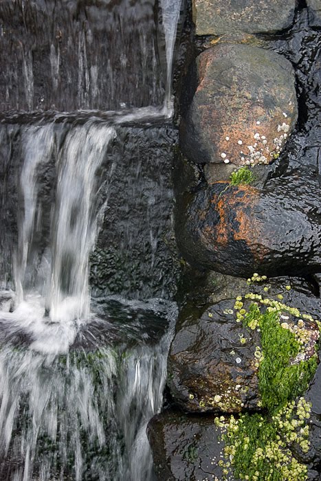 Water Steps by Pictographer