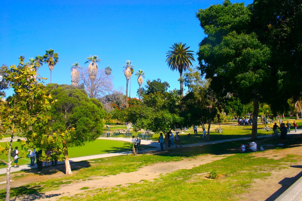 Sights and sites along The Wilshire Corridor, Los Angeles, CA by Michael Jiroch