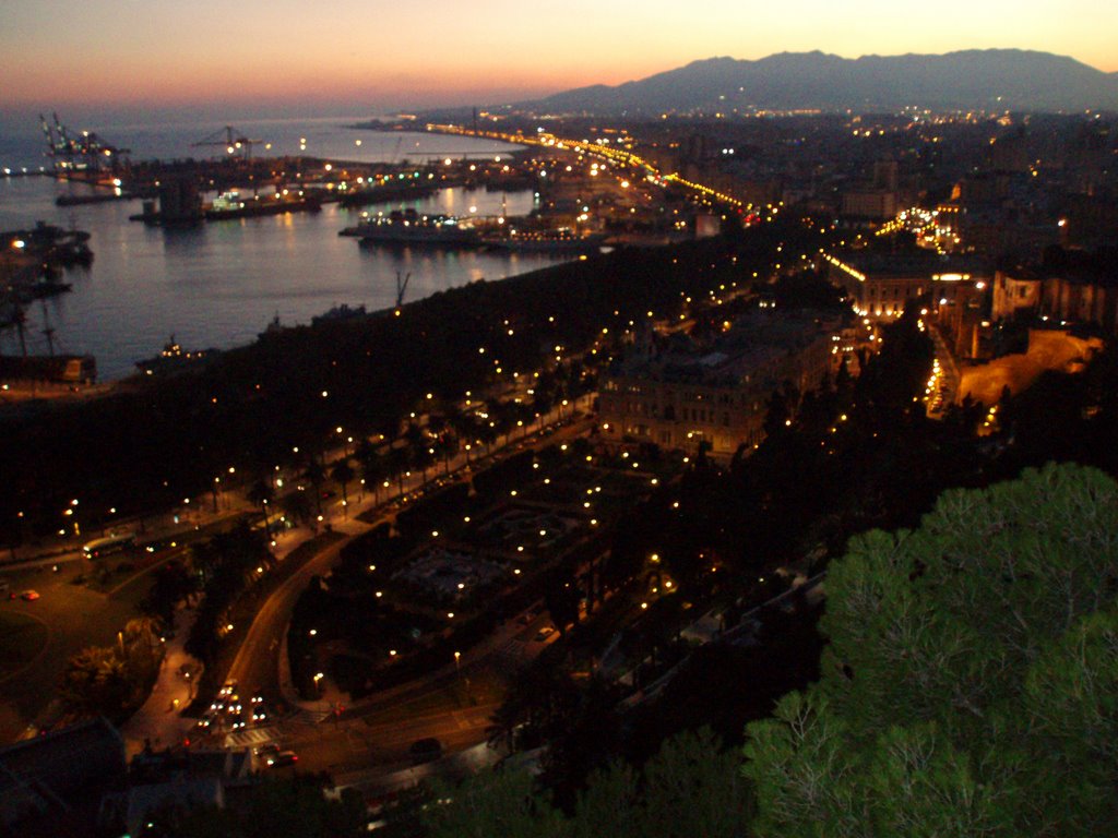 Málaga desde Gibralfaro by Teresa Alvarez