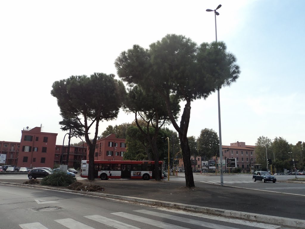 Alberi sulla strada by Nicholas Frisardi