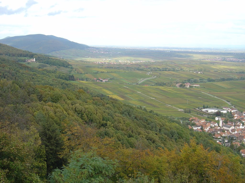 Eschbach, Blick von der Madenburg zum Slevogthof Neukastel by Hermann Hauber