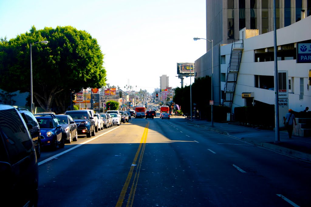 Sights and sites along The Wilshire Corridor, Los Angeles, CA by Michael Jiroch