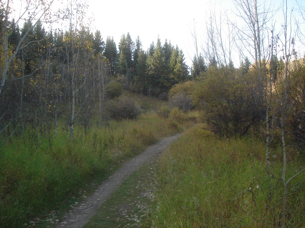 Trail for walkers in Big Hill Springs Oct. 2011. by Tony