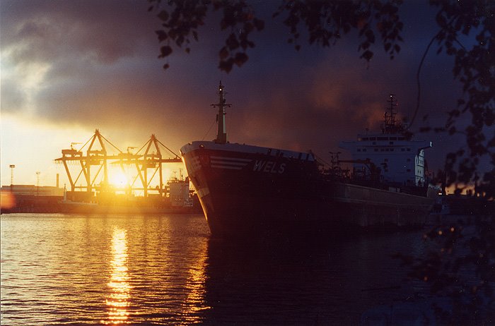 Seaport. Coal Harbour by Alex Grek