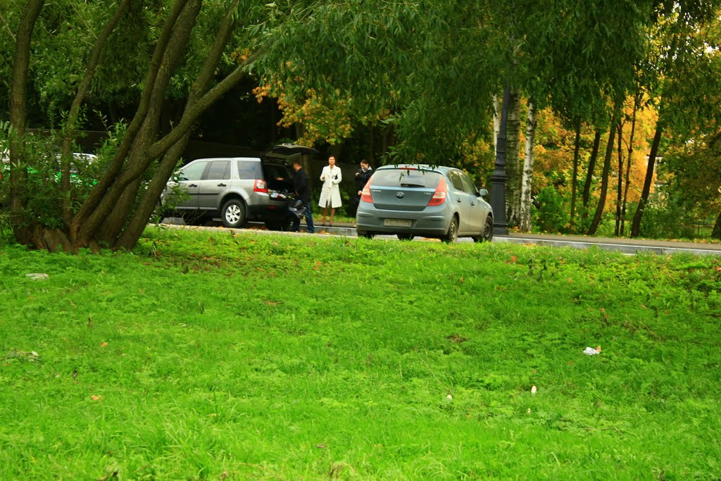 Family on the car by Roman Tcymbal