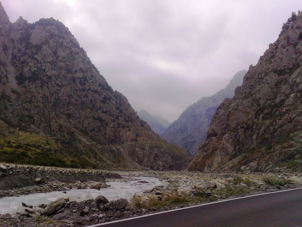 Road to north border of Georgia-11 by besik nibladze