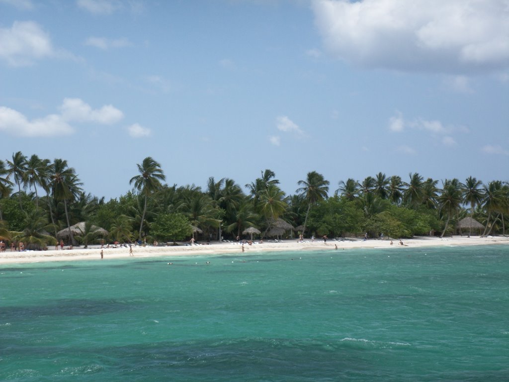 Saona Island by Molnár Judit jucyfru…