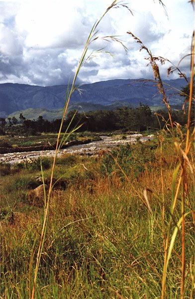 The Baliem Valley by Henk van Es