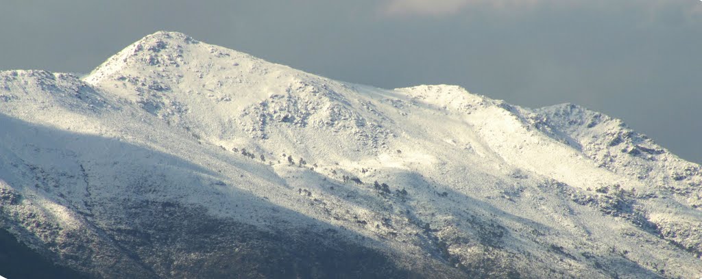 Marbella nevada by Eugenio M. Ferreira