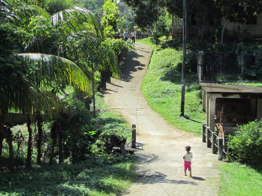 LIVINGSTON-El camino al mar by jlb5084