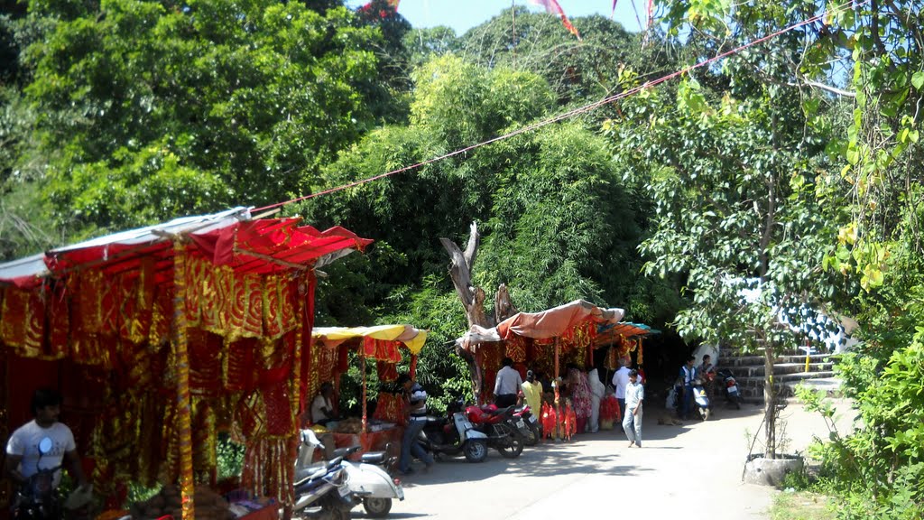 Way to maa Sharda Temple - Madan Mahal by TAPAN MALLICK