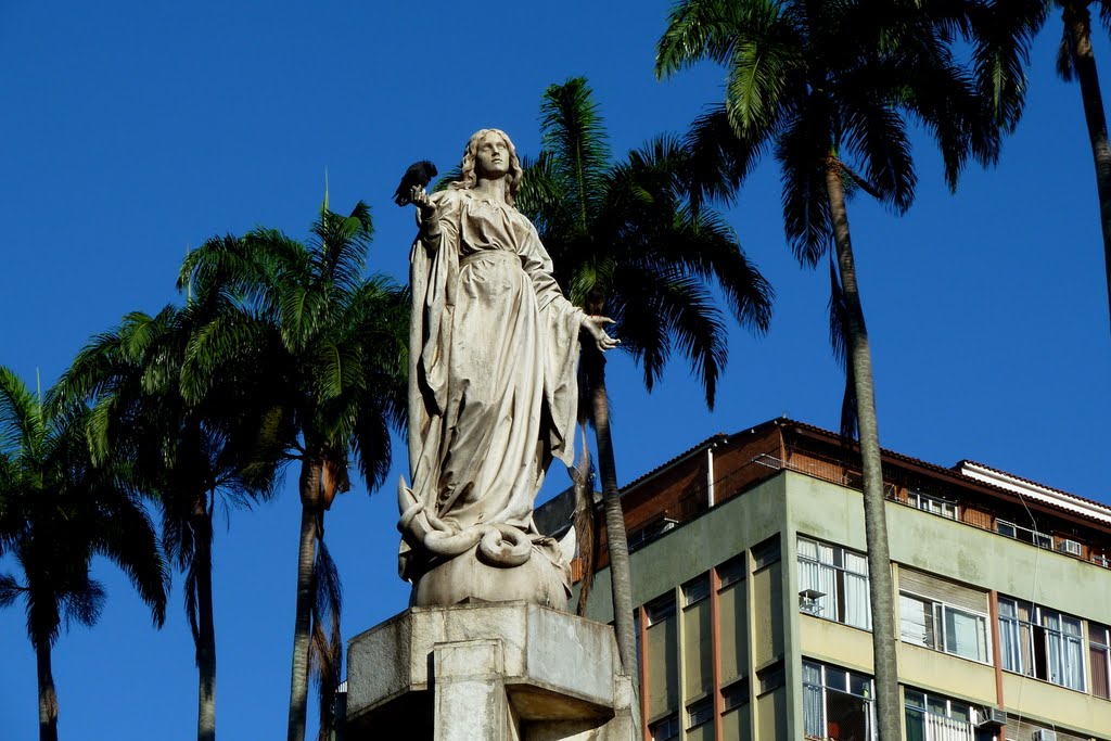 Largo do Machado, Rio by Jan Åge Pedersen