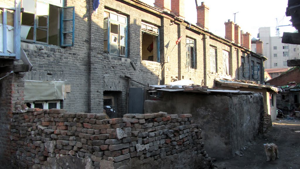 大马路（原商埠大马路）附近的老建筑Old buildings Nearby The Da Rd.(Former Shangbu Da Rd.) by wanghongtao999