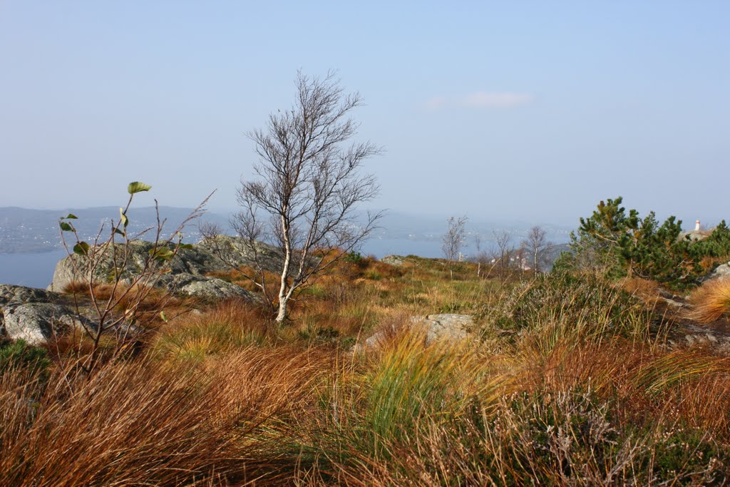 Sandviksfjellet in september by Mona Lygre