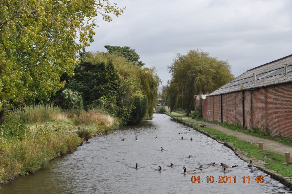 Ashton Canal Droylsden by Ken Leigh L.R.P.S.