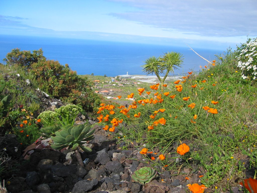 Oceanview from Jedey by Jan Capello