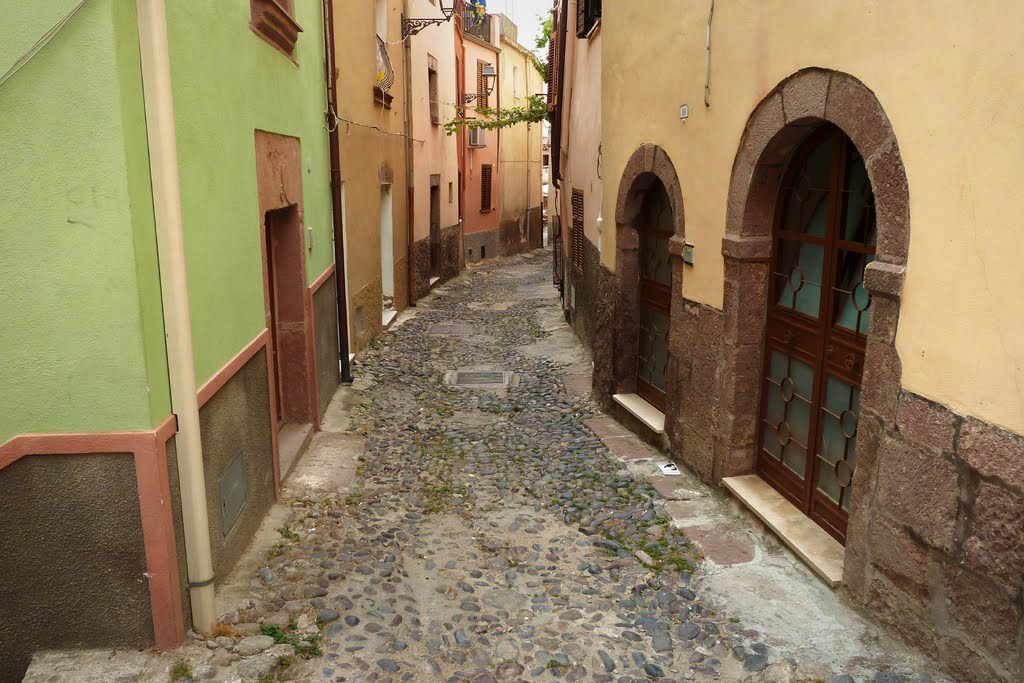 In the streets of Bosa by Tibor Rendek