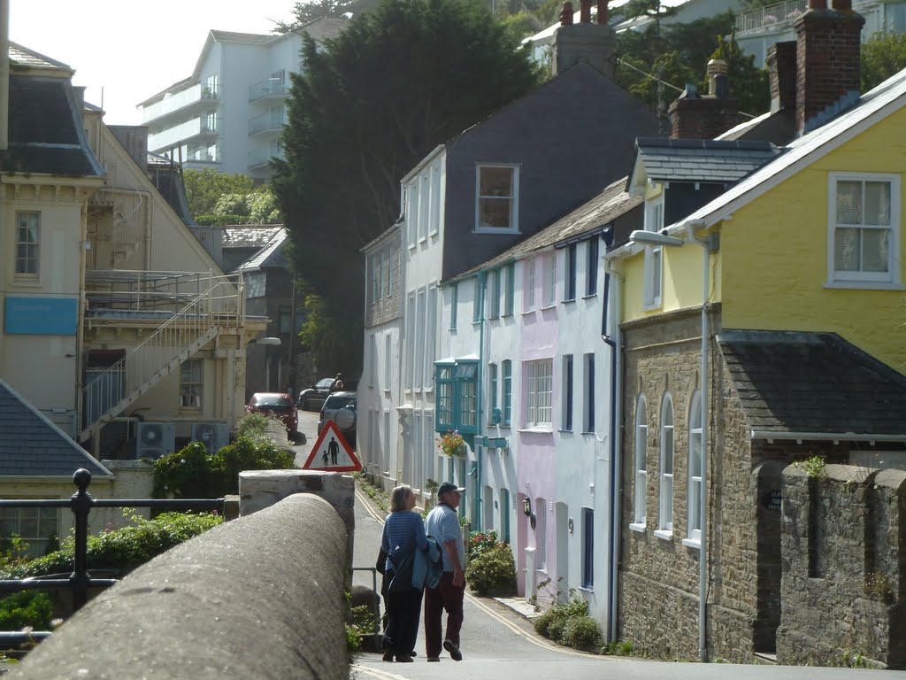 Salcombe, UK by cowbridgeguide.co.uk