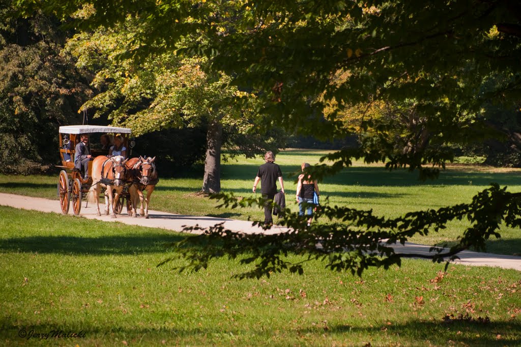 Park Mużakowski by Jerzy Malicki