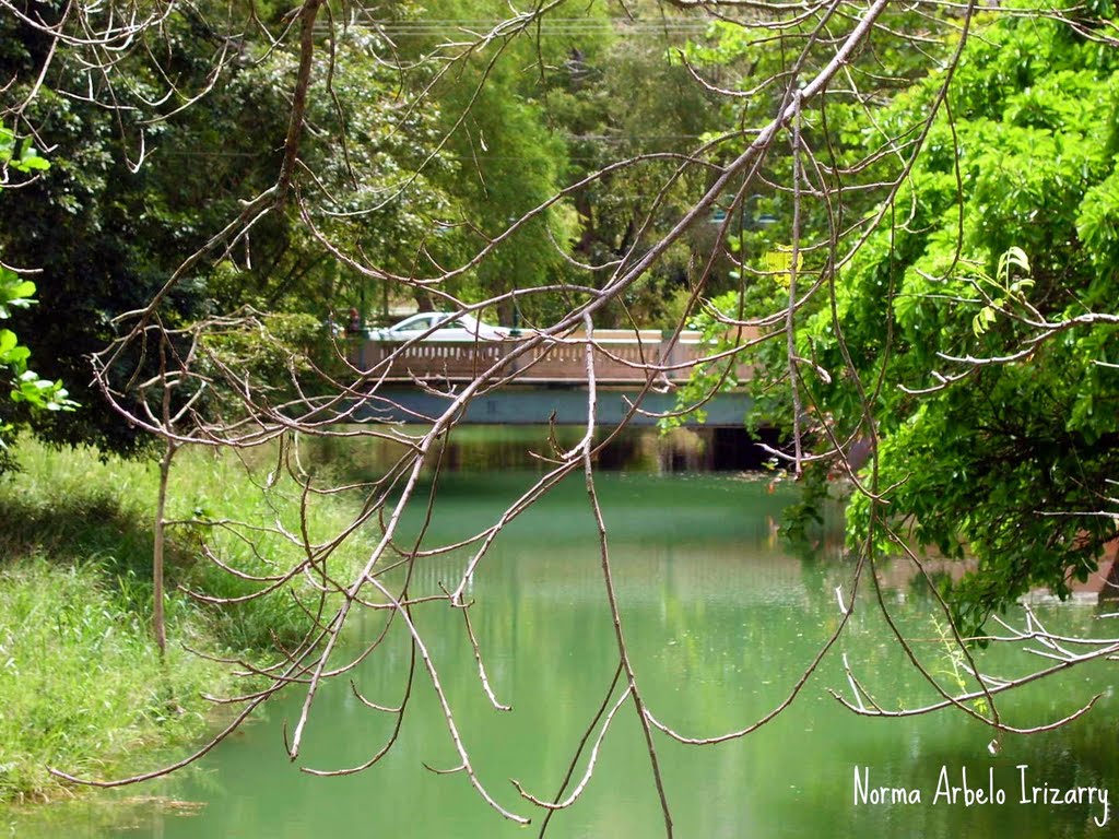 Puente sobre el Rio Camuy - Camuy, Puerto Rico by Norma Arbelo Irizarr…