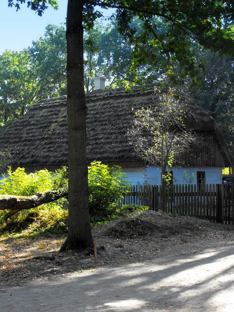 Muzeum Ziemi Radomskiej w Radomiu by lmka2014