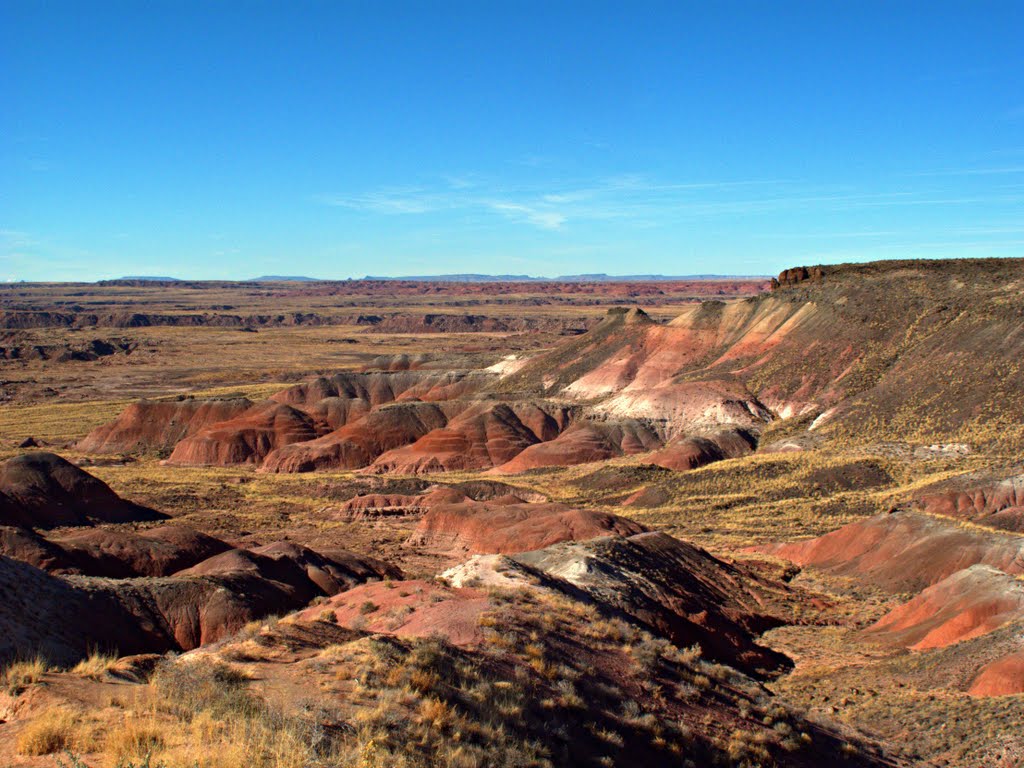 Petrified Forest National Park Nizhoni Point by Dan Smith