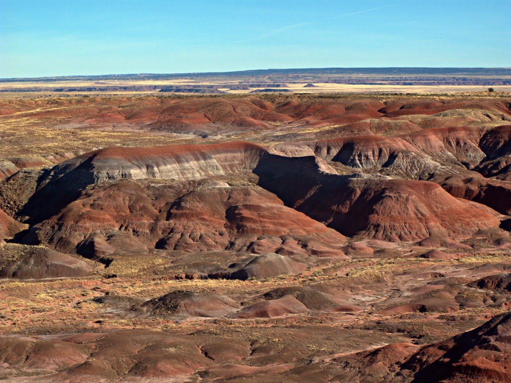 Petrified Forest National Park Chinde Point by Dan Smith